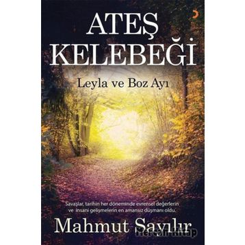Ateş Kelebeği - Mahmut Sayılır