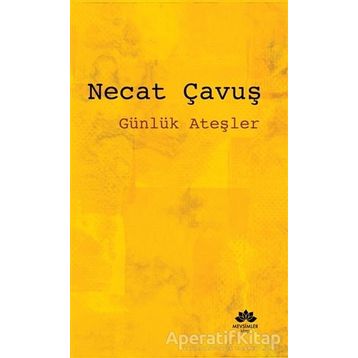 ATESLER - RAYMON CARVER