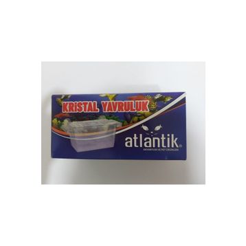 Atlantik Tekli Yavruluk