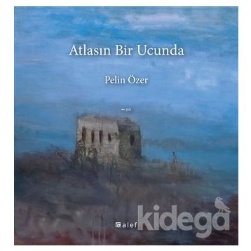 Atlasın Bir Ucunda - Pelin Özer