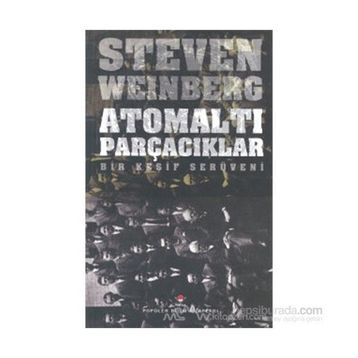 Atomaltı Parçacıklar - stewen weinberg