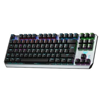 Aula F2067 RGB TKL Blue Switch Kablolu Mekanik Oyuncu Klavyesi