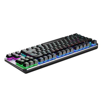 Aula F2067 RGB TKL Blue Switch Kablolu Mekanik Oyuncu Klavyesi