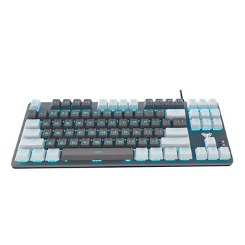 Aula F3287 Blue Switch Gri Kablolu Mekanik Gaming Klavye