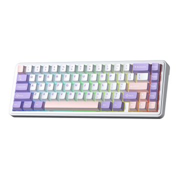 Aula F65 Nimbus V3 Switch RGB TKL Pastel Kablosuz Gaming Klavye