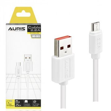 Auris ARS-CB13 Micro 25 cm Kablo