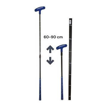 Avessa GB-190 Mavi Ayarlanabilir Golf Sopası