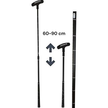 Avessa GB-195 Siyah Ayarlanabilir Golf Sopası