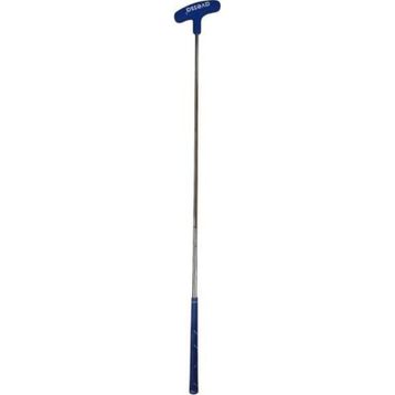 Avessa GB-30 Mavi Tek Parça Golf Sopası