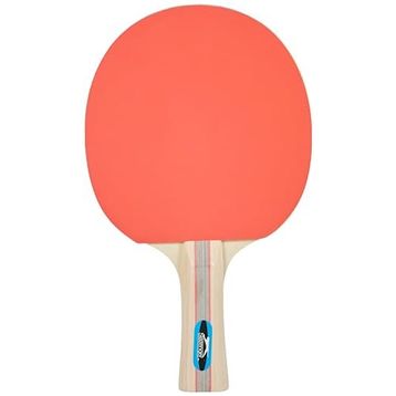 Avessa Slazenger Champion ITTF Onaylı Masa Tenis Raketi
