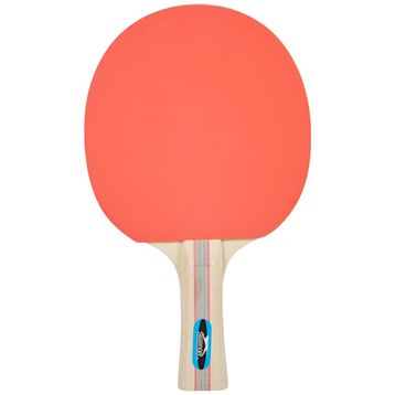 Avessa Slazenger Champion ITTF Onaylı Masa Tenis Raketi