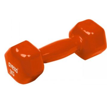 Avessa Vinly Pvc 2 kg Dambıl