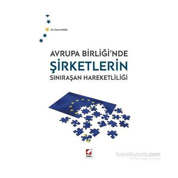 Avrupa Birliği’nde Şirketlerin Sınıraşan Hareketliliği - Etem Kara