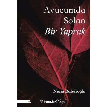 Avucumda Solan Bir Yaprak - Naim Babüroğlu