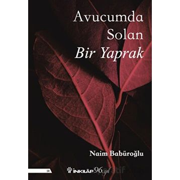 Avucumda Solan Bir Yaprak - Naim Babüroğlu