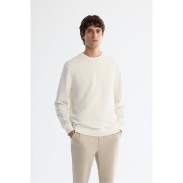 Avva A42Y1296 Ekru Erkek Sweatshirt