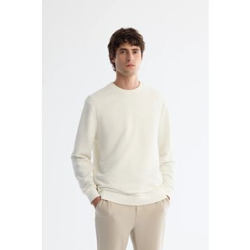 Avva A42Y1296 Ekru Erkek Sweatshirt