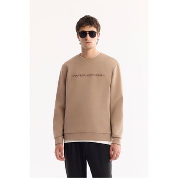 Avva A52Y1210 Vizon Erkek Sweatshirt