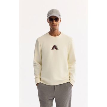 Avva A52Y1305 Ekru Regular Fit Erkek Sweatshirt