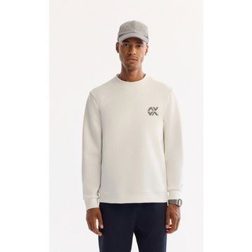 Avva A52Y1328 Ekru Regular Fit Erkek Sweatshirt