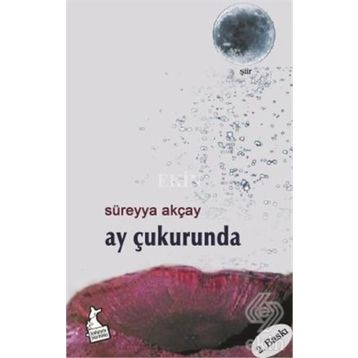Ay Çukurunda - Süreyya Akçay