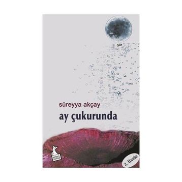 Ay Çukurunda - Süreyya Akçay