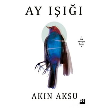 Ay Işığı - Akın Aksu
