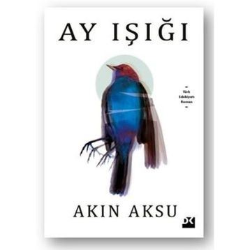 Ay Işığı - Akın Aksu