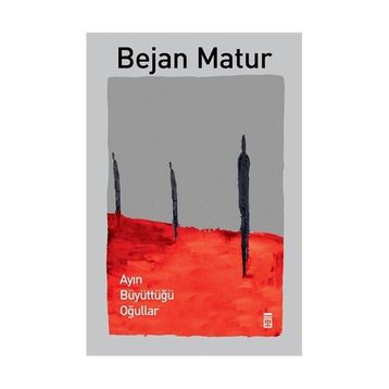 Ayın Büyüttüğü Oğullar - Bejan Matur