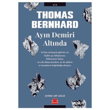 Ayın Demiri Altında - Thomas Bernhard