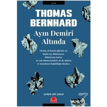 Ayın Demiri Altında - Thomas Bernhard