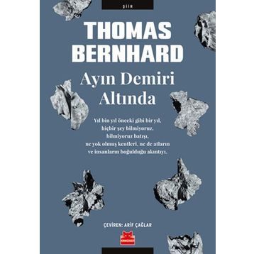 Ayın Demiri Altında - Thomas Bernhard