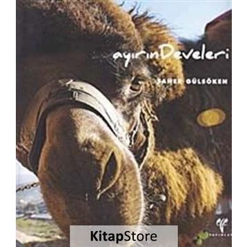 AYIRIN DEVELERI - SANER GÜLSÖKEN