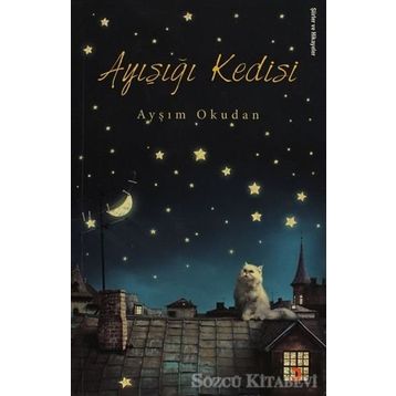 Ayışığı Kedisi - Ayşım Okudan