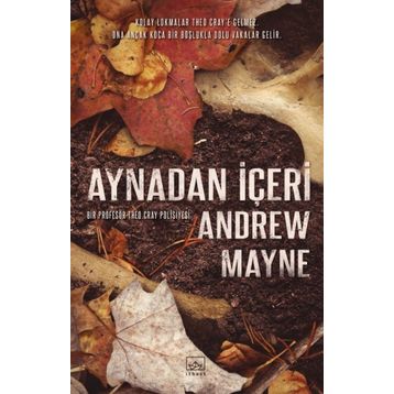 Aynadan İçeri - Andrew Mayne