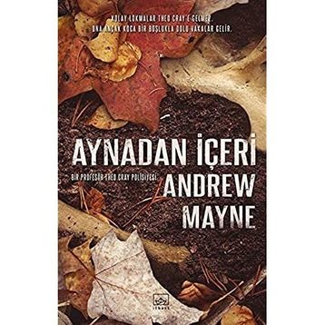Aynadan İçeri - Andrew Mayne