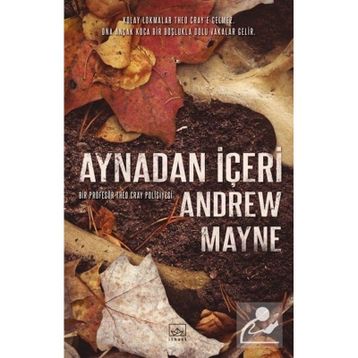 Aynadan İçeri - Andrew Mayne