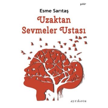 Ayrıkotu Yayınları Uzaktan Sevmeler Ustası