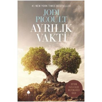 Ayrılık Vakti - Jodi Picolult
