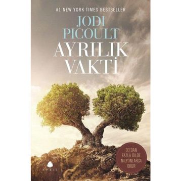 Ayrılık Vakti - Jodi Picolult