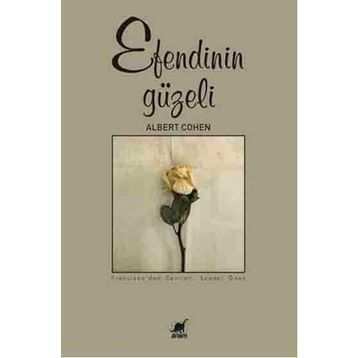 Ayrıntı Yayınları Efendinin Güzeli