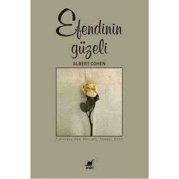 Ayrıntı Yayınları Efendinin Güzeli