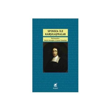 Ayrıntı Yayınları Spinoza İle Karşılaşmalar