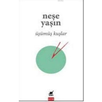 Ayrıntı Yayınları Üşümüş Kuşlar