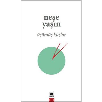 Ayrıntı Yayınları Üşümüş Kuşlar