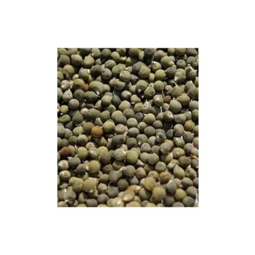 Ayvalık Baharat 100 gr Bamya Tohumu