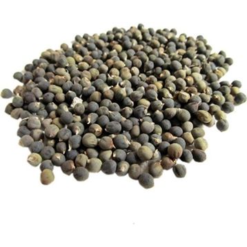 Ayvalık Baharat 250 gr Bamya Tohumu
