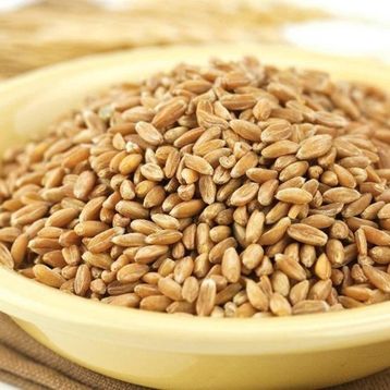 Ayvalık Baharat 3 kg Buğday Tavuk Güvercin Yemi