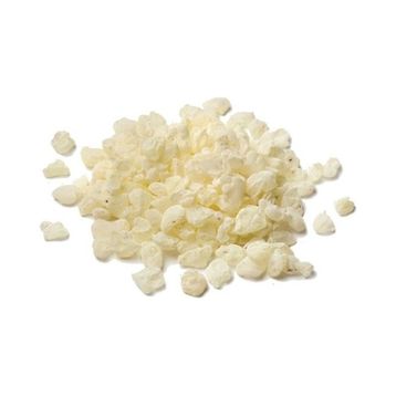 Ayvalık Baharat 5 gr Damla Sakızı