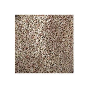 Badem Akvaryum 5 kg Mısır Koçan Granülü Kuş Kafes Altlığı